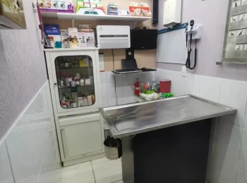 Espacio de una clínica veterinaria